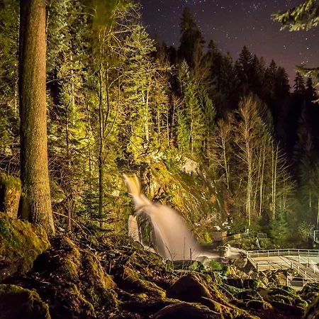 דירה Am Roesslewald *