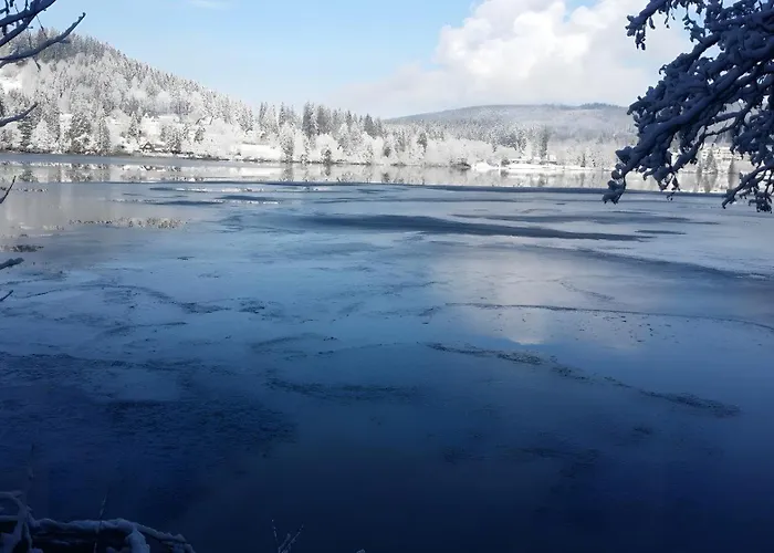 Am Roesslewald Lägenhet Breitnau