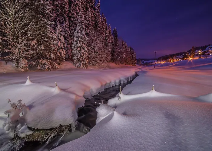 Lägenhet Am Roesslewald Breitnau